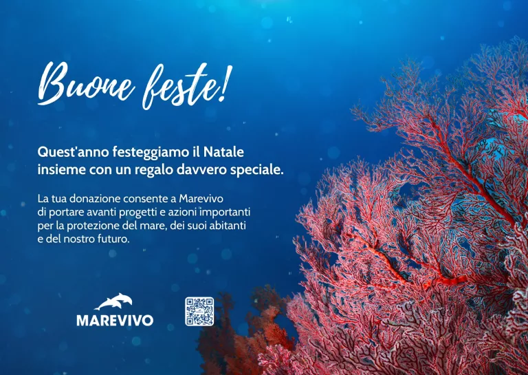 E-CARD-NATALE-2025-MAREVIVO-Corallo-2