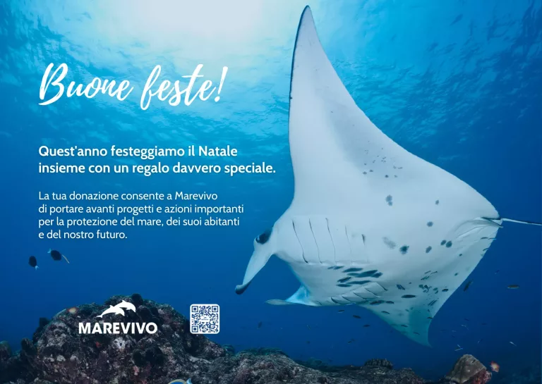 E-CARD-NATALE-2025-MAREVIVO-Manta-2